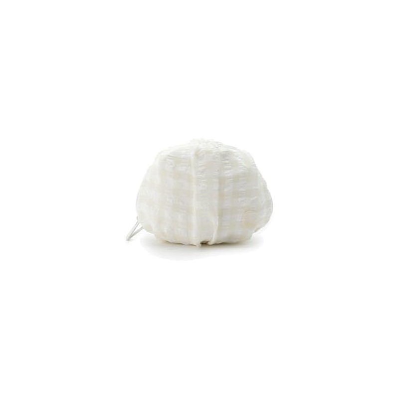 Gelato Pique PWGB241669 Check Pouch, CRM