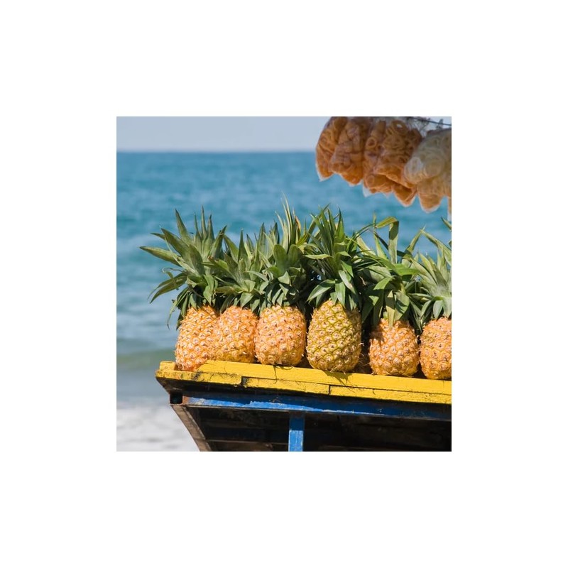 Tuscany Candle 2.5oz Fragrance Bars- Caribbean Market