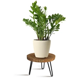 OBTAIN Plant Stand Indoor Outdoor Wood Mid Century Plant Stand for Indoor Plants, Modern Plant Table Round Plant Stool, Boho Rustic Wooden Stool for Plant Pot Hol (L)