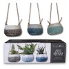 Burgon & Ball 'Baby Dotty' Trio Hanging Pot in Gift