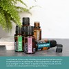 Nature's Fusions Lime, 100% Pure and Natural Essential Oils, Undiluted,