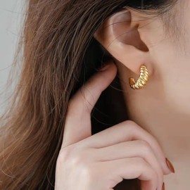 Gold Hoop Earrings for Women Trendy Silver Hoops Earrings Samll Hoop Earrings Twisted Hoop Earrings Geometric Jewelry Gifts for Girls