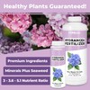 Hydrangea Fertilizer for Acid Loving Plants, Liquid Plant Food 8