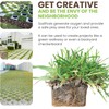SodPods® Zoysia Grass Plugs for Lawn Repair, 3" x 3"