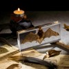 Real Bat Specimen in Clear Resin Block - Preserved Animal