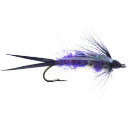 The Fly Fishing Place Basics Collection - Bead Head Purple Nymph Assortment - 10 Wet Flies - 5 Patterns - Hook Sizes 12, 14, 16