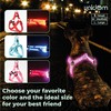 Light Up Dog Harness & Leash with 3 Light Modes