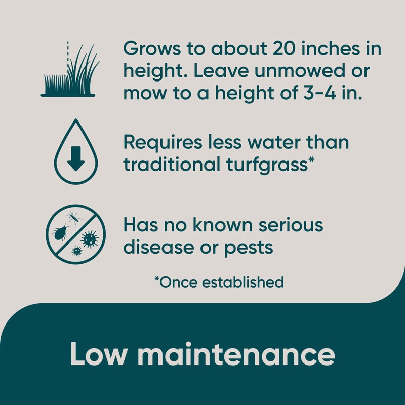 Scotts Pursue Blue Grama with Natural Seed, Seeding for Large
