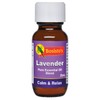 Bosistos Buy Bosistos Lavender Essential Oil Blend 25ml Online | Chempro Chemists