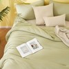 TISPLR King Size Desert Sage Comforter Set, 3 Pieces Double-Layer