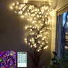The Light Garden Lighted Willow Vine Remote Controlled Multicolor