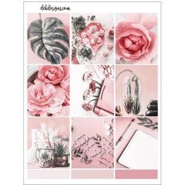 Life Planner Sticker Kit, In Bloom, over 150 stickers on premium matte