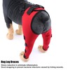 Zerodis Dog Extra Supportive Canine Rear Leg Hock Joint Compression