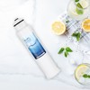 Suifl HX2017FR-A/HX2017F-A Water Filter, Compatible with Hisense HRF266N6CSE1, HRF266N6CSE, HRF209N6CSE,
