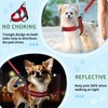 SlowTon No Pull Small Dog Harness and Leash Set, Puppy