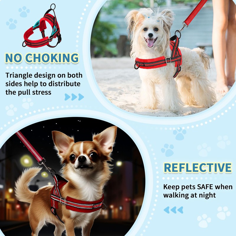 SlowTon No Pull Small Dog Harness and Leash Set, Puppy