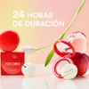 TOCOBO Apple Dewy Fit Cushion 27 Toast