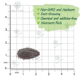 Premium GAI LAN (Broccoli) Seeds – 300+ Non-GMO Heirloom Seeds, Fast-Growing, High-Yield Variety with Crisp Stems & Tender Leaves
