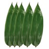 Rainlily Wen Bamboo Leaves 500 Pcs Fresh Vacuum Zongzi Leaf