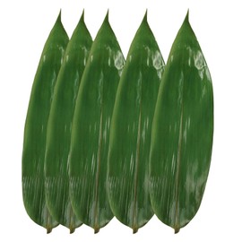 Rainlily Wen Bamboo Leaves 500 Pcs Fresh Vacuum Zongzi Leaf Banana Leaf Substitutes Sushi Plate Wrap Foods Food Decorate