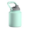 Asobu Mini Stainless Steel Double Walled Vacuum Insulated 33 Ounce