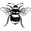 Art Stamps Bee Stamp