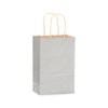 NWP Metallic Silver Recycled Kraft Paper Shopping Bags - Rose