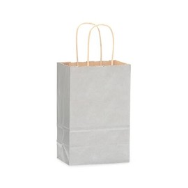 NWP Metallic Silver Recycled Kraft Paper Shopping Bags - Rose Size - 5.5 x 3.25 x 8.375in. - Pack of 25