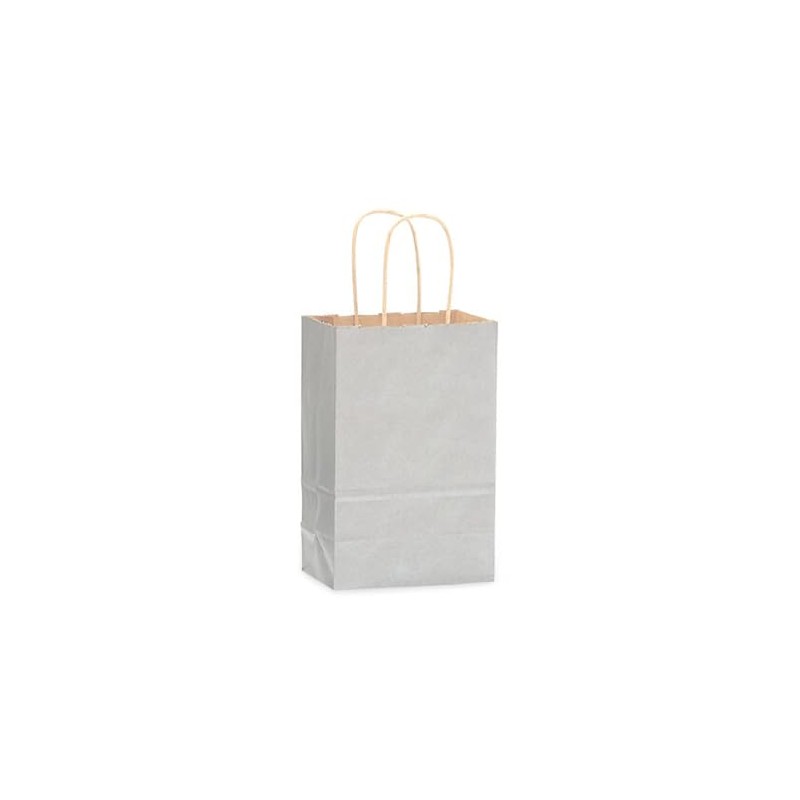 NWP Metallic Silver Recycled Kraft Paper Shopping Bags - Rose