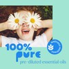 Plant Therapy Essential Oil Roll-On Blend - Quiet Cough, 10ml