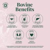 Vital Health Blend Capsules – Plant-Based Formula for Daily Wellness