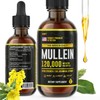 HERBIFY Mullein Drops - Lung Cleanse - Leaf Extract -