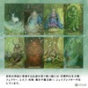 Forest of Enchantment Tarot Forest of Enchantment Tarot