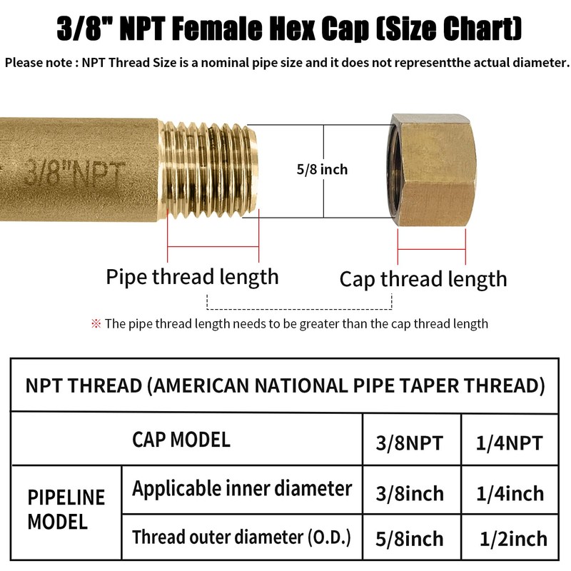 Sutekus Pipe Fitting Cap NPT Female Pipe Brass Fitting Hex