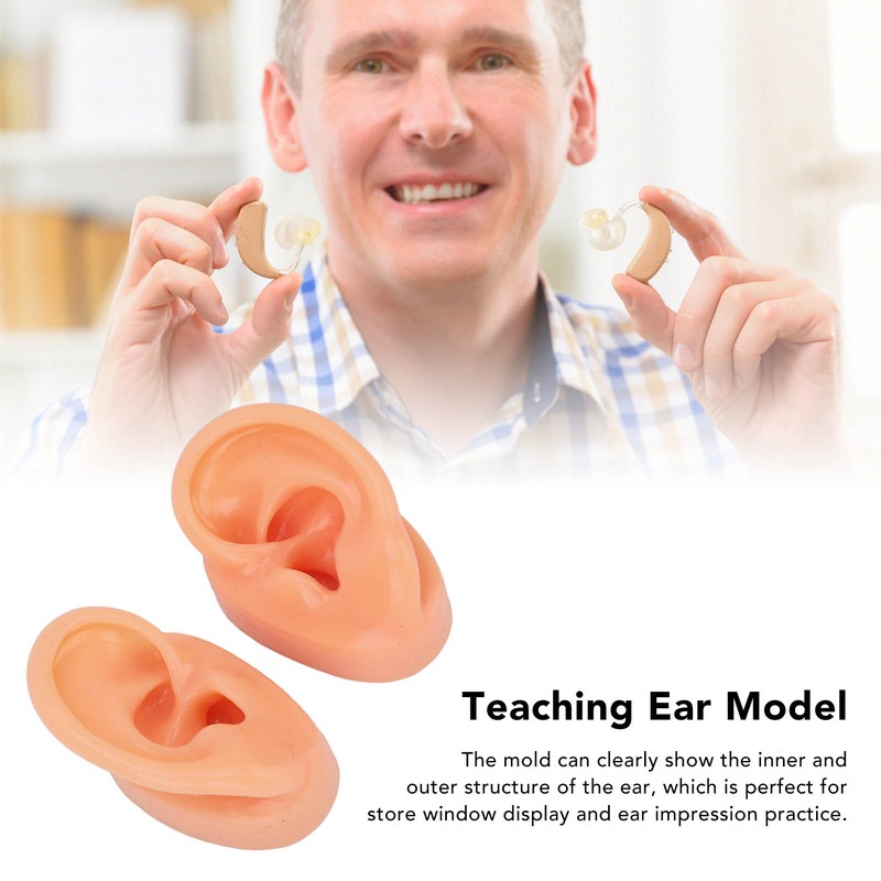 Silicone Ear Model Human Artificial Ear Display for Hearing Aids