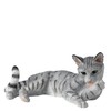BFA Cats Cat Lying Licking Paw