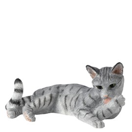 BFA Cats Cat Lying Licking Paw