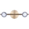 Canarm Elsee 2-Light Track Lighting Black and Gold with Clear