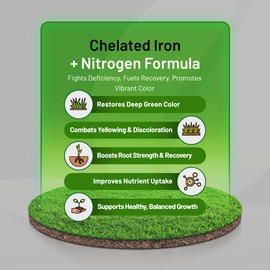 Covington Lawn Liquid Iron for Winter (32oz) – Chelated Iron & Nitrogen Supplement for Winter Turf Health – Prevents Yellowing, Strengthens Roots & Promotes Early Spring Green-Up