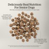 Now Fresh Grain-Free Senior Dry Dog Food with Turkey, Salmon