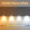 NOVELUX 7.3 Inch E26 Led Bulb 6W, Equal 80 Watt