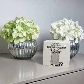 Wooden Raccoon Money Box with Saying Ich Habe Dieses Geld ehrlich verdient EIN Funny Piggy Bank for Change Funny Men Birthday Robber Money Box Saying Cute Motif