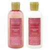 Generic Bath and Body Work CHAMPAGNE TOAST Mini Hair Care
