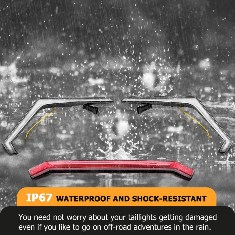 WSAYS 2019-23 Front Rear Fang Accent Tail Light Kits Fits