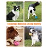 Squeaky Dog Toys, Stuffed Plush Puppy Toy Balls to Keep