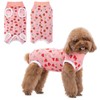 Coppthinktu Recovery Suit for Dogs After Surgery, Dog Onesie Surgery