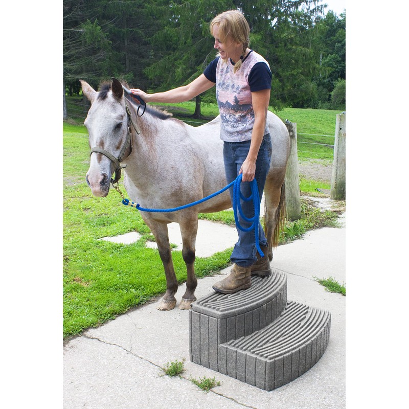 Good Ideas SSTEP-DAR Stora Step Storage Step, Dark Granite