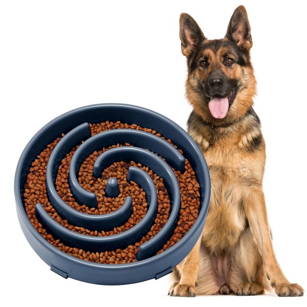 JASGOOD Slow Feeder Dogs Bowl for Large Medium Dogs,Anti-Gulp
