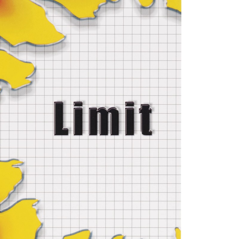 Limit Limit Schulheft A4, 16 Blatt, Lineatur 22, kariert, 5
