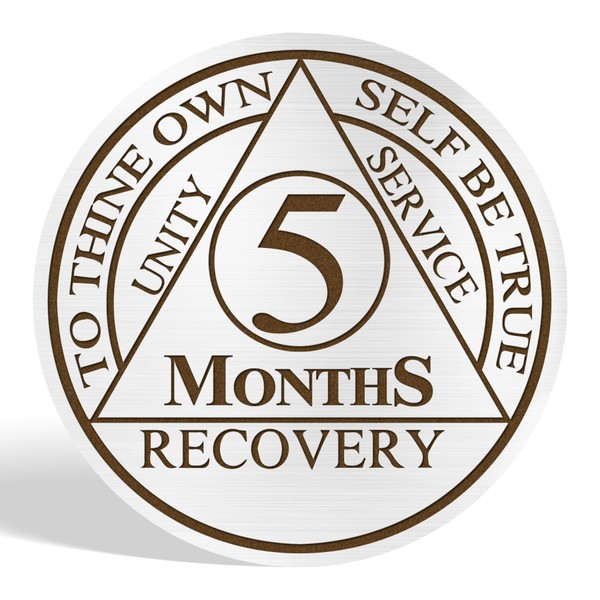 5 Month AA Sobriety Coin - Inspirational Mountain Design AA
